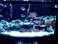 IMG00087-20100824-2136.jpg