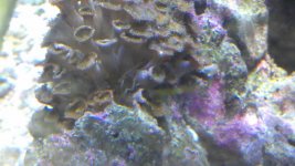 IMAG0199.jpg