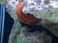 IMG_20110618_100847.jpg