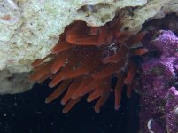 IMG_20110618_100841.jpg