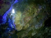 IMG_20110621_160433.jpg