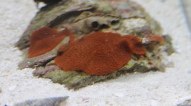 IMG_4262.jpg