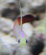 IMG_4263.JPG