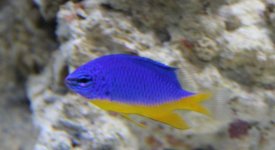 IMG_3715.jpg