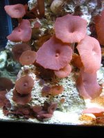 IMG_5621.jpg