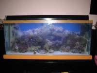 IMG_0211.JPG