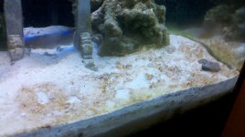 2011-11-08_16-09-31_90.jpg