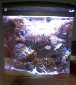 full tank shot.jpg
