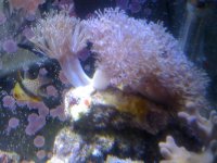 IMG_1031.jpg