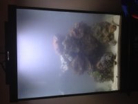 photo 3 (2).jpg