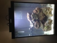 photo 2 (1).jpg