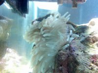 2011-11-17_20-57-56_306.jpg
