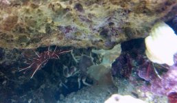 2011-11-17_20-58-17_336.jpg