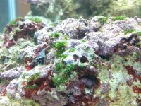 2011-11-17_20-59-01_871.jpg