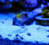 IMG_4220.jpg