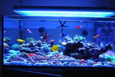 nov.full tank shot 214.jpg