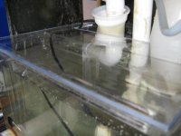 IMG_0126.jpg
