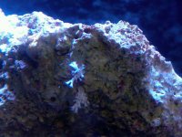 IMG00147-20110926-1326.jpg