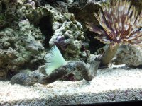 2011-11-21_21-00-53_26.jpg