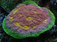 DSCF1257.JPG