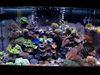 100_4217.jpg