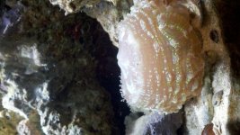 2012-02-03_10-33-23_319.jpg