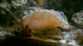 2012-02-26_17-43-35_787.jpg