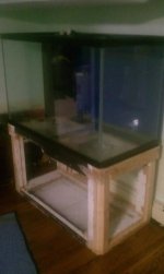 IMAG0228.jpg
