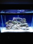 Kay18321's tank.jpg