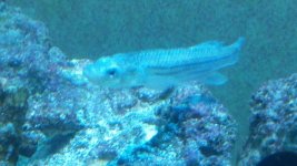 2012-01-26_20-52-48_694.jpg