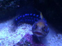 IMG_20111010_131707.jpg