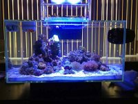 IMG_0311.jpg