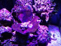 IMG_0030.jpg