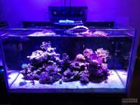 IMG_0031.jpg