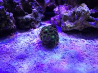 IMG_0035.jpg