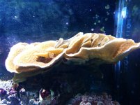 IMG_1604.jpg