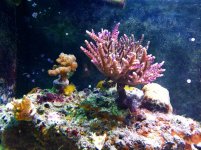 IMG_1605.jpg