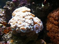 IMG_1606.jpg