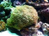 IMG_1607.jpg