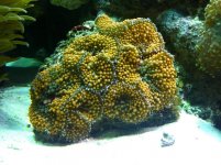 IMG_1608.jpg