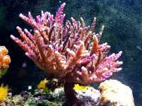 IMG_1615.jpg