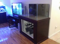 IMG_20120305_160134.jpg