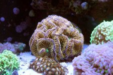 0IMG_9649.JPG