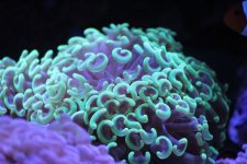 0IMG_9651.jpg