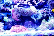 0IMG_9658.jpg