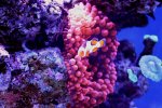 0IMG_9660.jpg