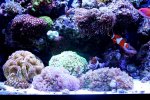 0IMG_9663.jpg