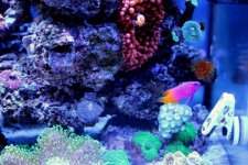 0IMG_9674.jpg