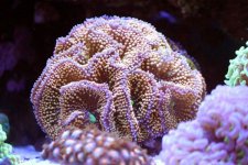 0IMG_9676.jpg