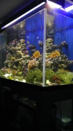 IMAG0859.jpg